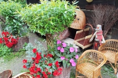 IMG_20250916_132534